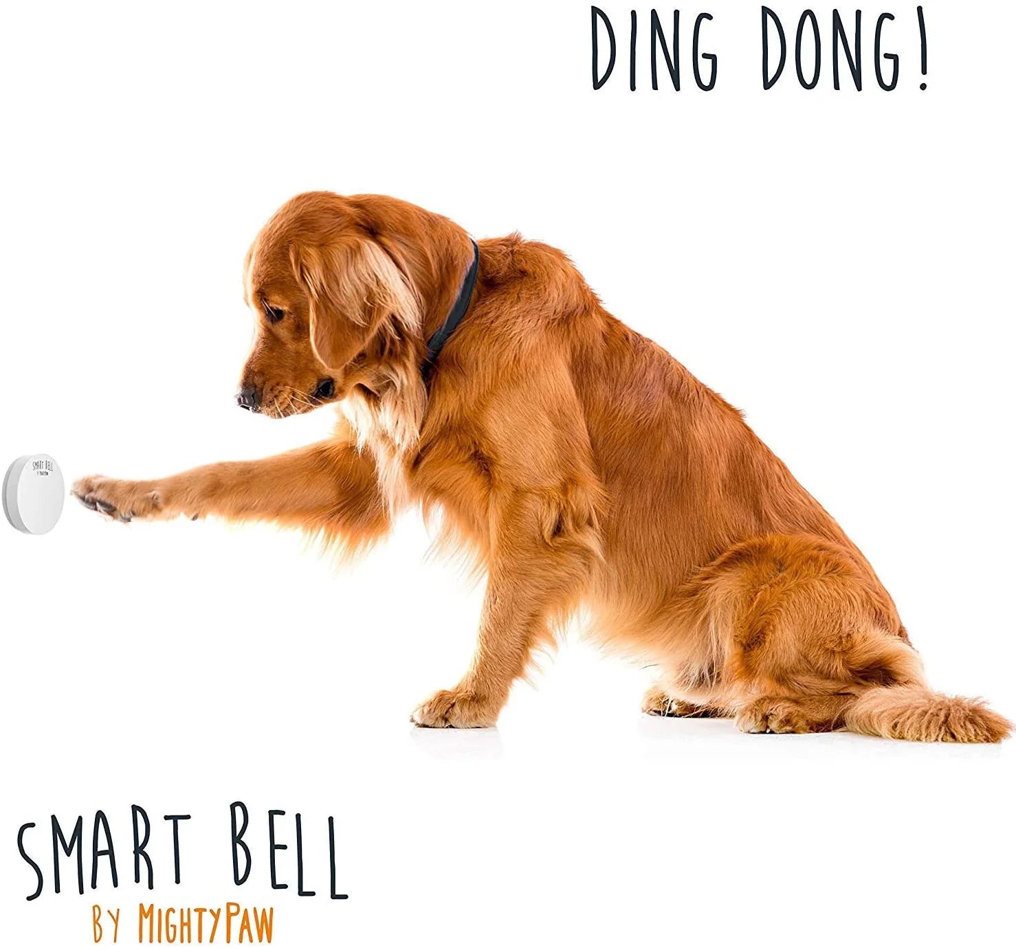 Smart Dog Bell 2.0, Dog Potty Training Bell, Puppy Potty Bells with Easy Press Button Design, Dog Training Bells, 1 Activator