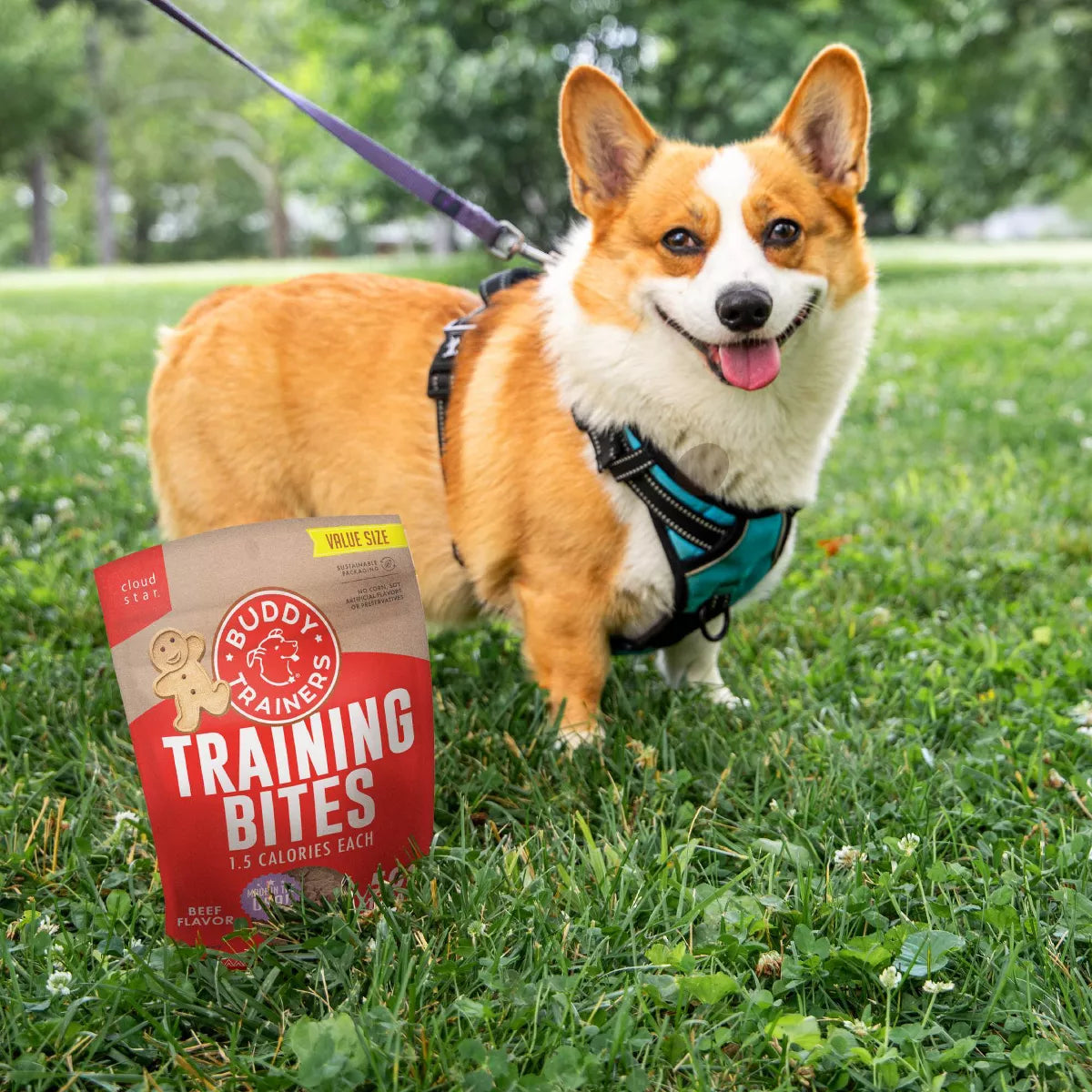 Buddy Biscuits Training Bites Chicken Dry Dog Treats - 10Oz