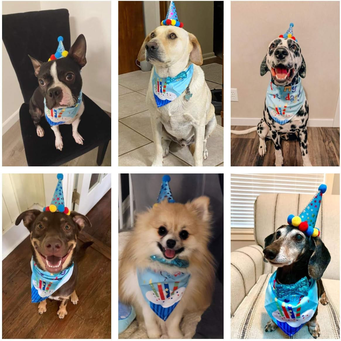 Dog Birthday Bandana Scarf and Dog Girl Boy Birthday Party Hat with Cute Dog Bow Tie for Medium Large Dog Pet (Large, Blue)