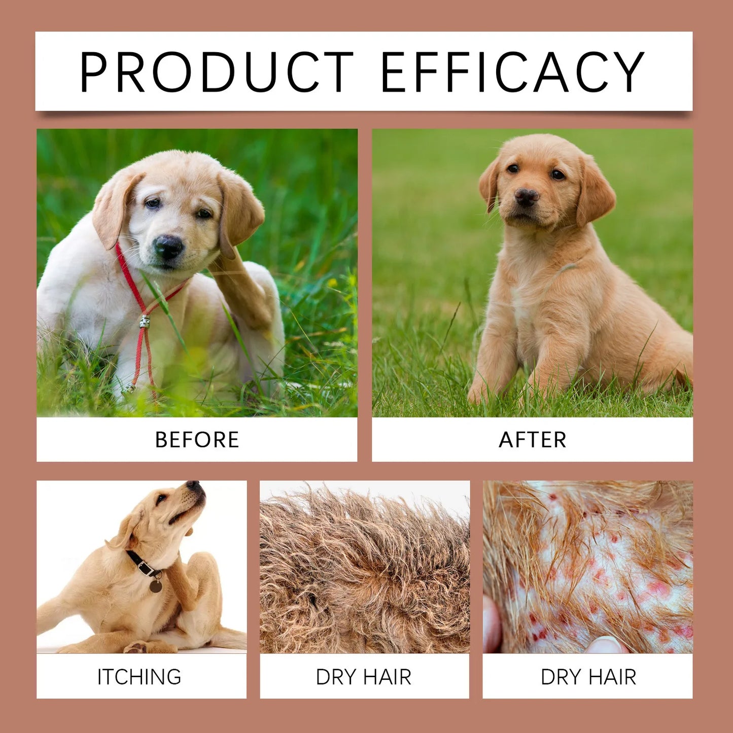 Dog Shampoo Conditioner Moisturizing for Sensitive Skin PH Balanced Anti Itching Flea Killer Dirt Mite Removal Pet Cleaning Foam